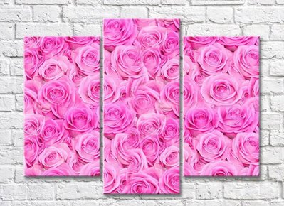 Триптих из пышных розовых роз TSv5739 фото