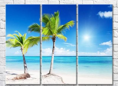 Триптих Две пальмы на фоне моря на пляже Mor9889 фото