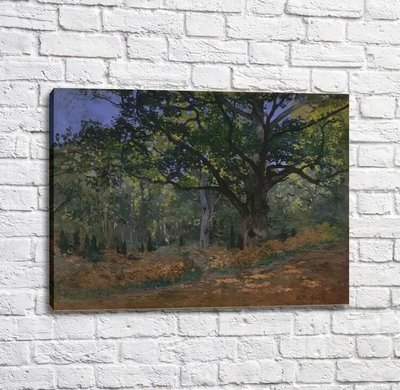 Картина The Bodmer Oak, Fontainebleau, 1865 Mon14390 фото