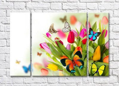 Яркий разноцветный букет из тюльпанов с бабочками TSv5598 фото