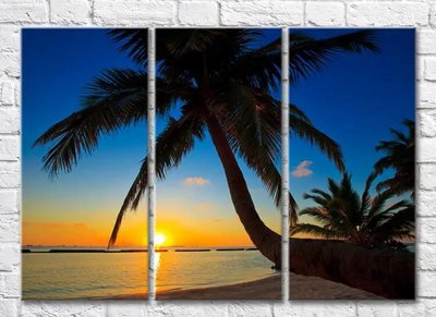 Триптих Большая пальма на пляже во время заката Mor9898 фото