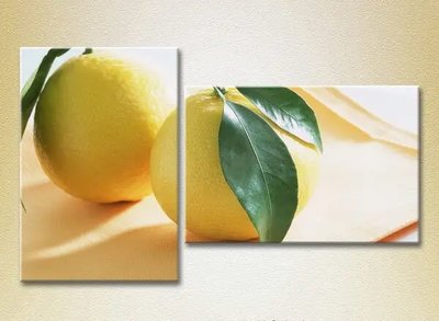 Модульные картины Два лимона_01 Eda9748 фото