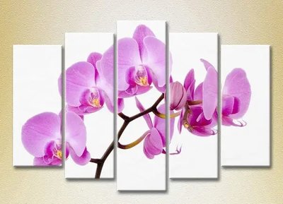 Модульные картины Орхидеи сиреневые_03 TSv7049 фото