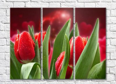 Тюльпаны на красном фоне с сердцами TSv5699 фото