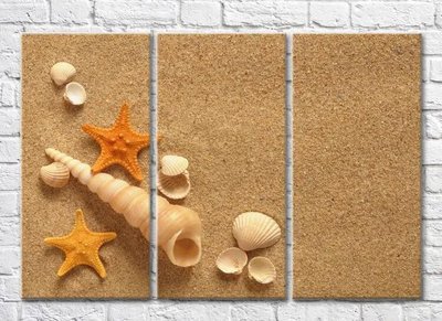 Триптих Ракушки и морские звездына песчанном пляже Mor9999 фото