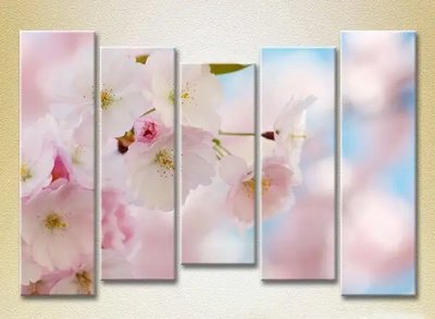Модульные картины Цветы сакуры_05 TSv10149 фото