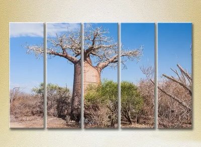 Tablouri modulare Baobab_01 Pri9449 фото