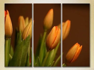 Модульные картины Тюльпаны TSv10299 фото