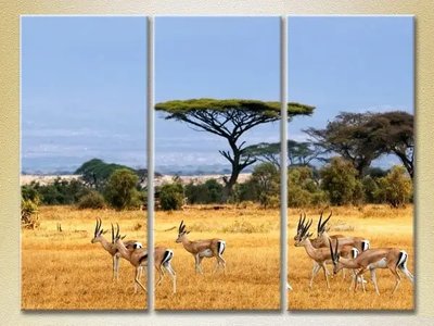 Модульные картины Африканский пейзаж_01 ZHi10549 фото