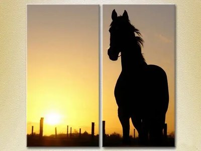 Модульные картины Силуэт лошади на закате ZHi8599 фото