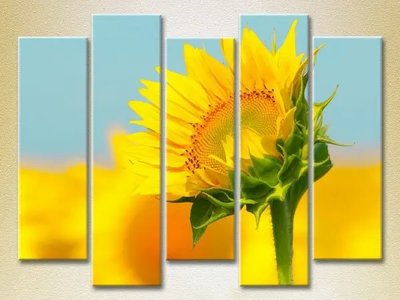 Tablouri modulare Floarea soarelui_02 TSv6999 фото