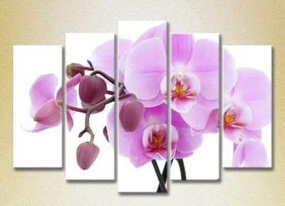 Модульные картины Орхидеи сиреневые с бутонами_05 TSv7050 фото