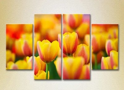 Модульные картины Желто красные тюльпаны_01 TSv7700 фото
