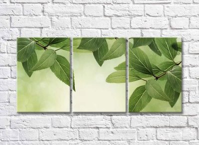 Триптих из зеленых веток растений TSv5750 фото