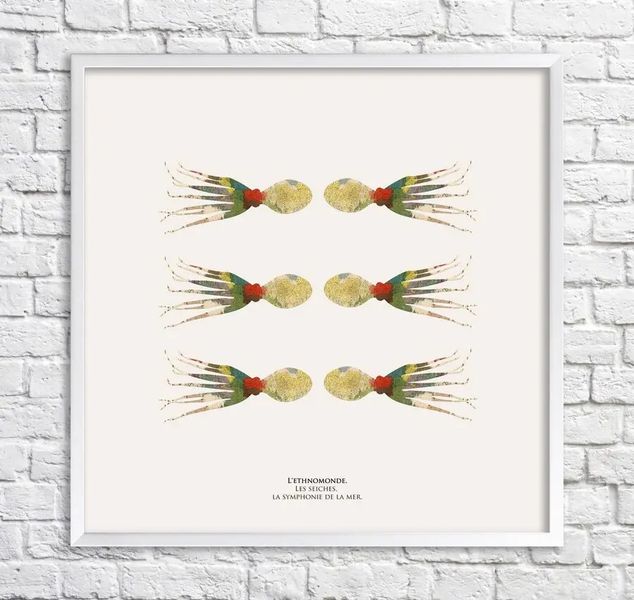 Постер Каракатицы. Симфония моря. Фрагменты карты Min15870 фото
