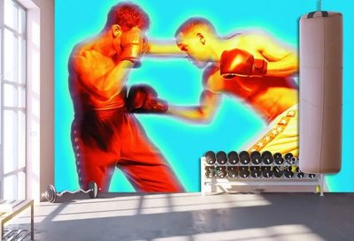 Фотообои Боксеры соперники, на голубом фоне, спорт Spo3101 фото
