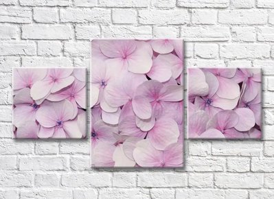 Триптих Розовые цветки гортензии 3D7751 фото