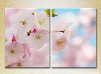 Tablouri modulare Sakura flowers_01 TSv6851 фото