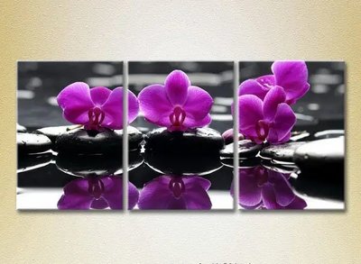 Модульные картины Фиолетовые орхидеи на камнях_01 TSv10301 фото