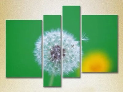 Модульные картины Одуванчик на зеленом фоне TSv8001 фото
