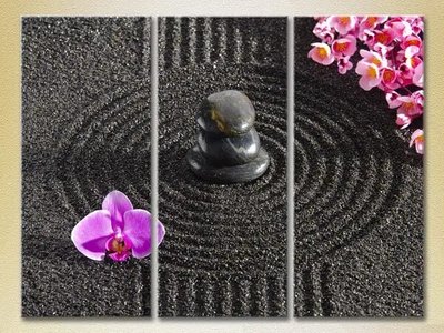 Модульные картины Орхидеи и массажные камни TSv10151 фото