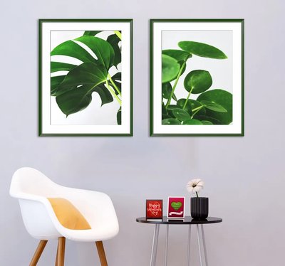 Frunze verzi strălucitoare ale plantelor tropicale Flo14652 фото
