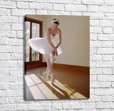 Poster Balerina în tutu alb și pantofi vârfuri, balet Tan18263 фото