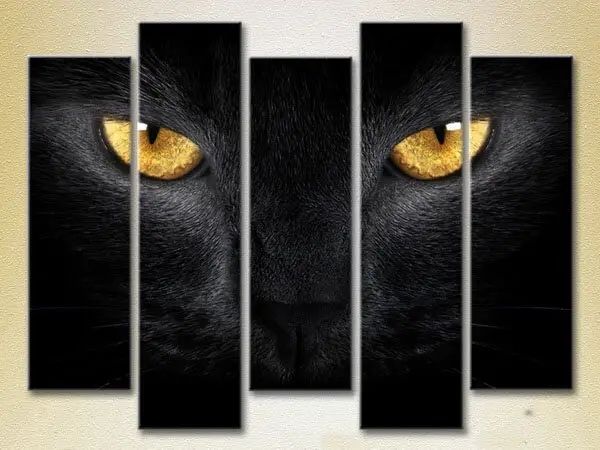 Tablouri modulare Ochi de pisică neagră_03 ZHi9801 фото