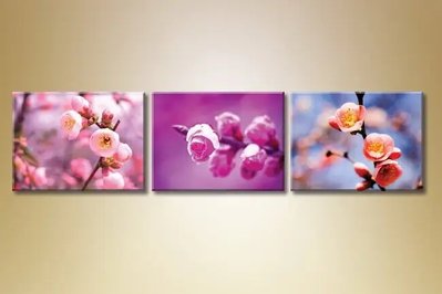 Модульные картины Цветы сакуры TSv9752 фото