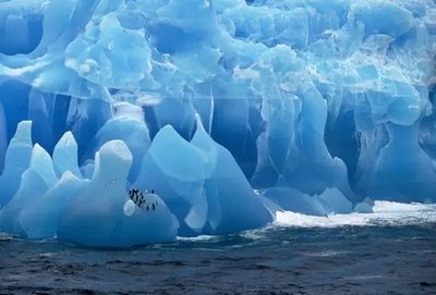 PhotoPoster Antarctica_08 Ant17132 фото