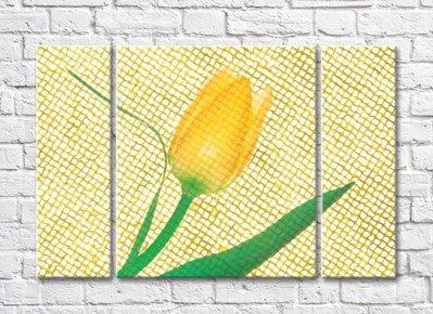 Тюльпан на фоне желтой сетки TSv5702 фото