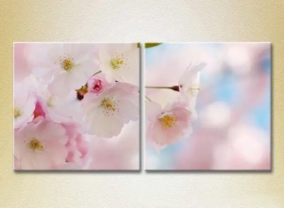 Модульные картины Цветы сакуры TSv6852 фото