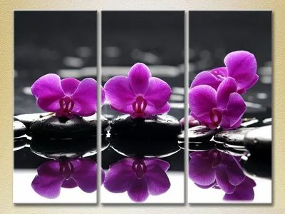 Модульные картины Фиолетовые орхидеи на камнях TSv10302 фото