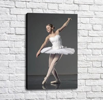 Постер Балерина в белой пачке на сером фоне, балет Tan18264 фото