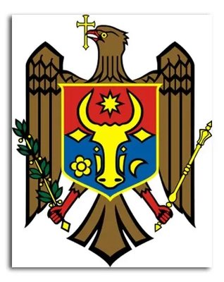 Afiș foto Stema Republicii Moldova Kar15495 фото