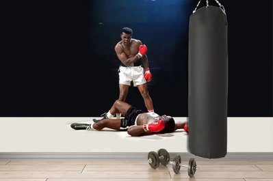 Fototapet Boxer Mohammed Ali în ring, box Spo3103 фото