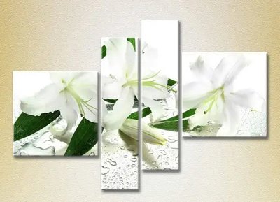 Модульные картины Белые лилии TSv7953 фото