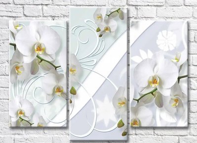 Триптих Абстракция из белых орхидей и узоров 3D7803 фото