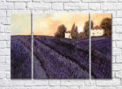 Триптих Lavender Field At Солнцеset 001_1 Pro10253 фото