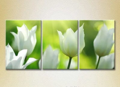 Модульные картины Белые тюльпаны_01 TSv9753 фото