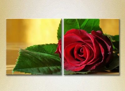 Модульные картины Красная роза TSv6753 фото