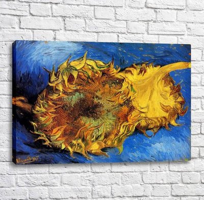 Pictură Floarea-soarelui două tăiate Van11603 фото