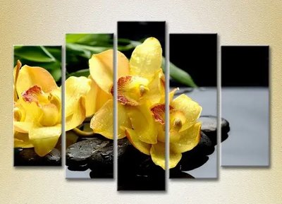 Модульные картины Желтые орхидеи на камнях_03 TSv7504 фото