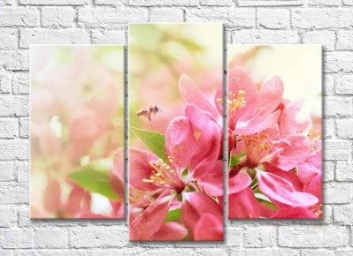 Яблоневые розовые цветы и пчела TSv5604 фото