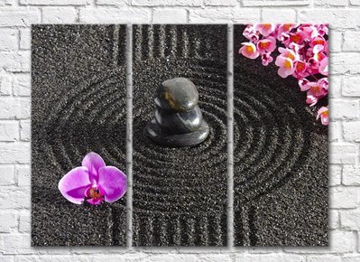 Floare de orhidee și sakura pe fundal de nisip negru TSv5654 фото