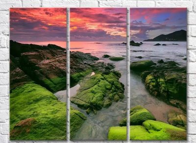 Триптих Скалистый берег покрытый мхом на закате Mor10004 фото