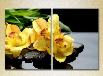 Модульные картины Желтые орхидеи на камнях_02 TSv6754 фото