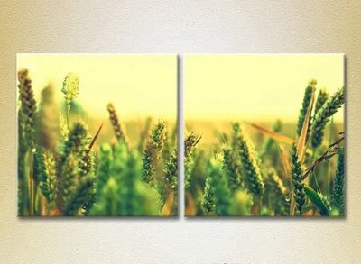 Модульные картины Пшеничное поле TSv6804 фото