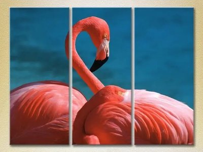 Tablouri modulare Flamingos roz ZHi10454 фото