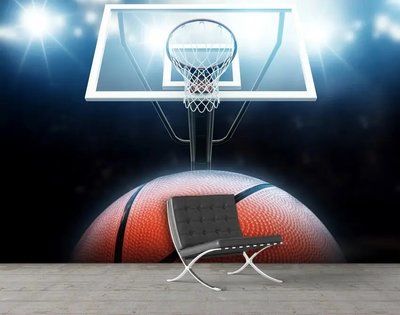 Баскетбольный мяч на фоне кольца, баскетбол Spo2804 фото